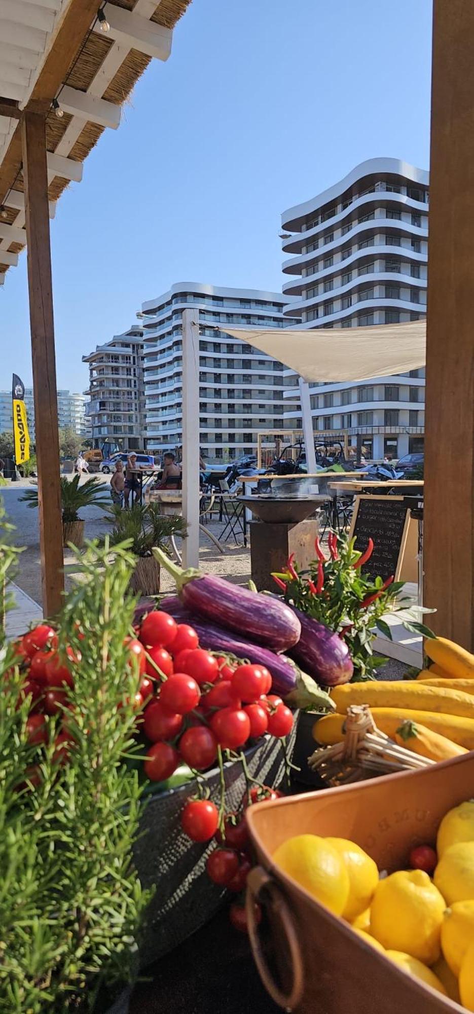 Apartment Eva Del Mar - Sea View - Nord *